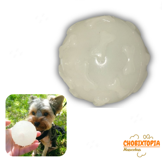 PELOTA FLUORESCENTE SONORA DE ENTRENAMIENTO p-PERROS 5 cm
