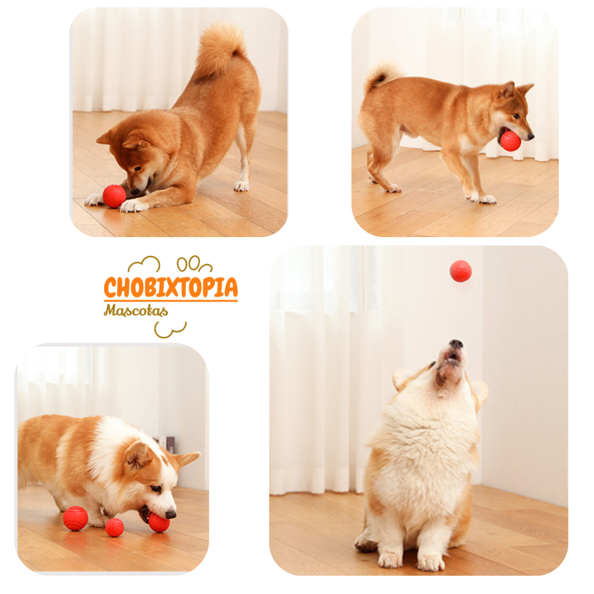 PELOTA ELASTICA RESISTENTE A MORDEDURAS PARA PERROS ROJA