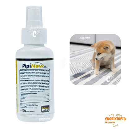 EDUCADOR PIPI NOW SPRAY  x 120ML