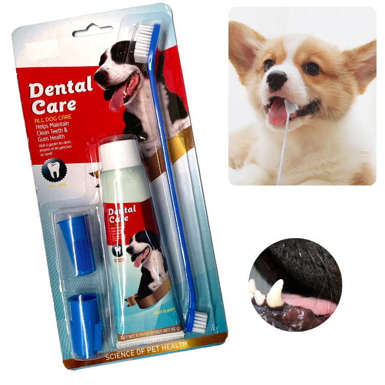 PASTA DENTAL PARA PERROS Y MASCOTAS - KIT