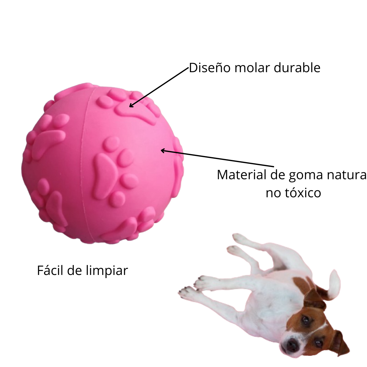 Pelota de Jebe para Perros Huellita Color FUCSIA