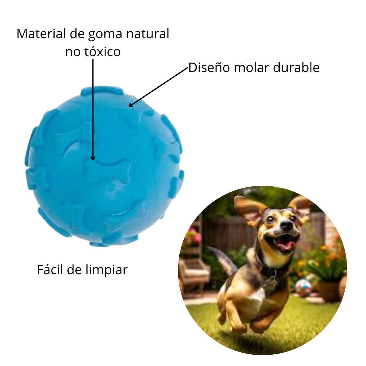 Pelota de Jebe para Perros Huesito Color CELESTE