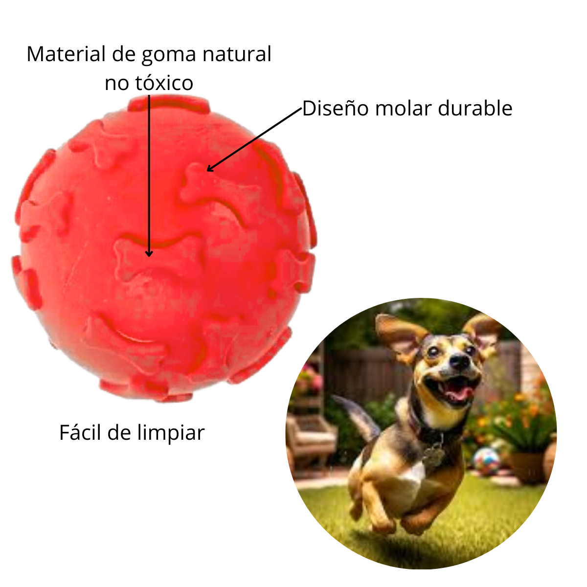 Pelota de Jebe para Perros Huesito Color ROJO