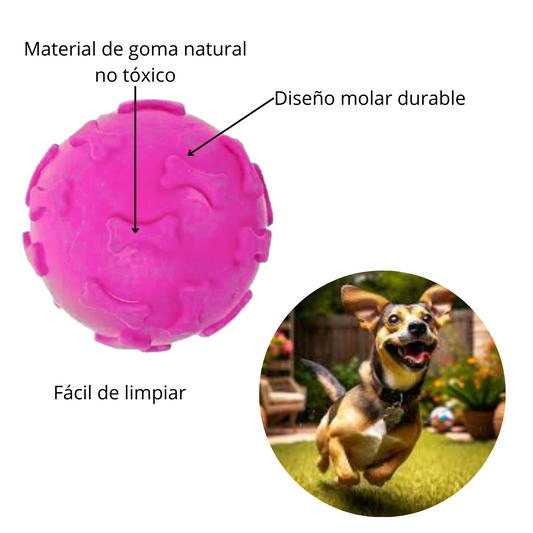 Pelota de Jebe para Perros Huesito Color FUCSIA