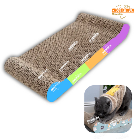 RASCADOR PARA GATOS CAMITA CON BORDES