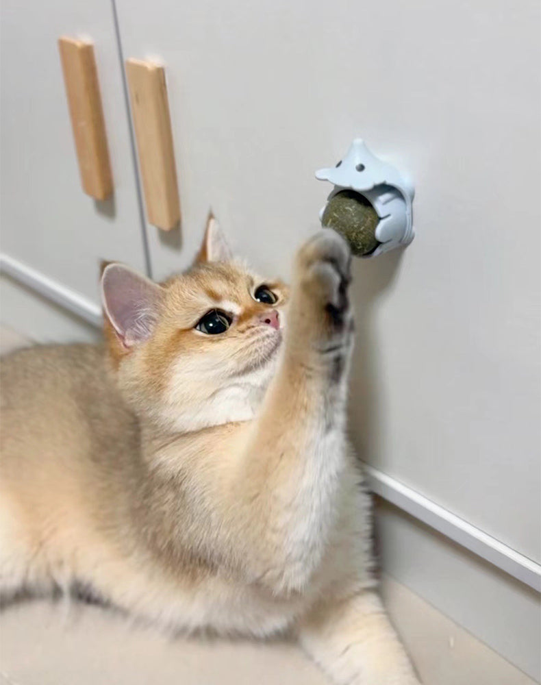 DUO CHURU VET DIET - ATUN POLLO 50 U (PACK CATNIP ERIZO)