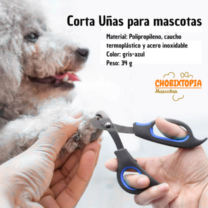 CORTAUÑAS TIJERA PARA GATOS Y PERROS-MASCOTA AZUL BORDE-GRANDE