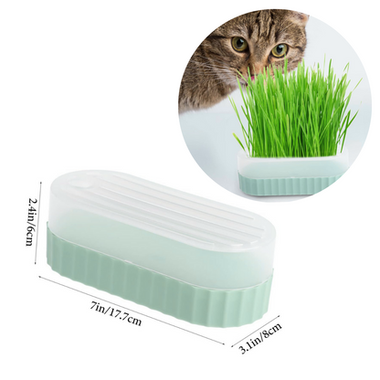 CAJA DE HIERBA GATERA MACETA PARA GATOS - VERDE OLIVO