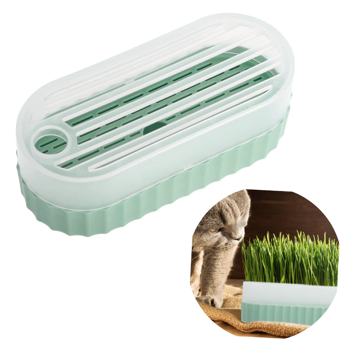 CAJA DE HIERBA GATERA MACETA PARA GATOS - VERDE OLIVO