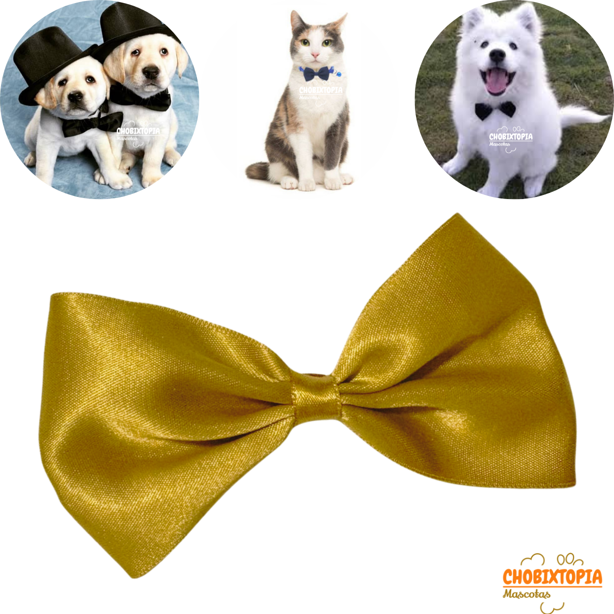 CORBATA MICHI PARA MASCOTA-PERRO GATO ORO VIEJO-GRANDE