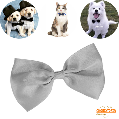 CORBATA MICHI PARA MASCOTA-PERRO GATO PLATA-CHICO