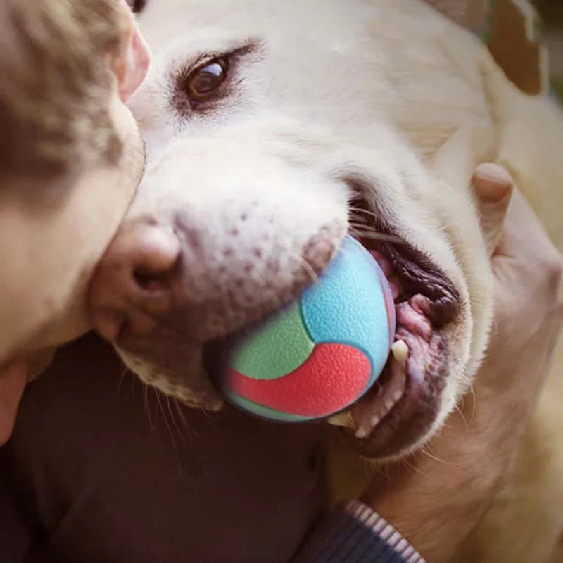 PELOTA ELASTICA RESISTENTE A MORDEDURAS PARA PERROS